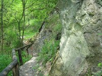 Park Krajobrazowy Góra Św. Anny park krajobrazowy gora sw. anny