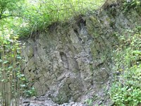 Park Krajobrazowy Góra Św. Anny park krajobrazowy gora sw. anny