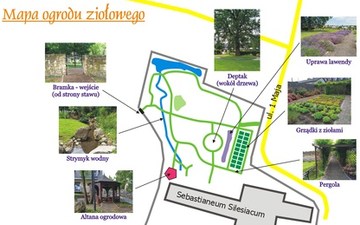 Mapa ogrodu ziołowego w Kamieniu Śląskim