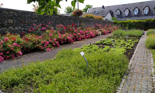 kamien slaski ogrod zielny