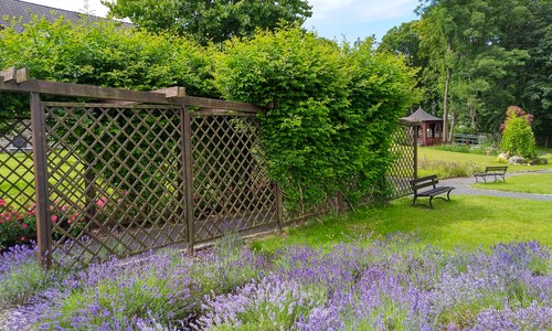 kamien slaski ogrod zielny