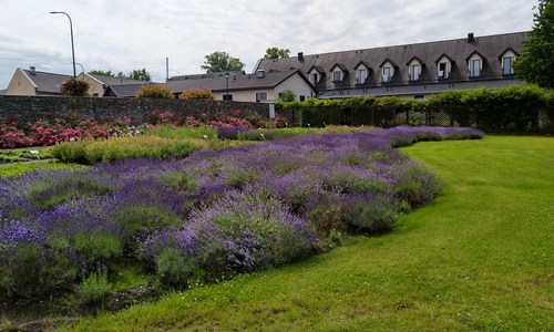 kamien slaski ogrod zielny
