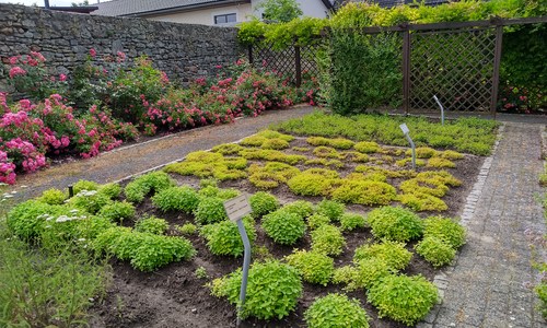 kamien slaski ogrod zielny