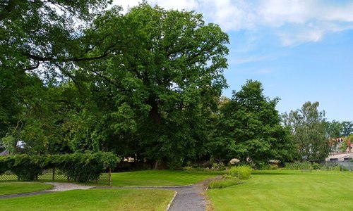 kamien slaski ogrod zielny