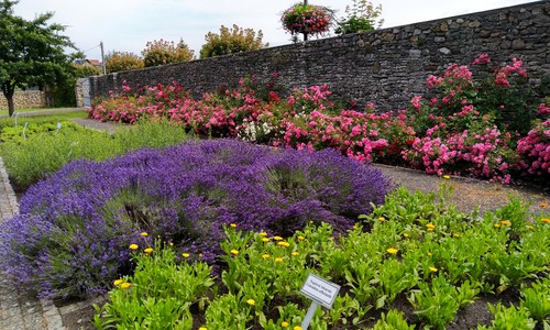 kamien slaski ogrod zielny