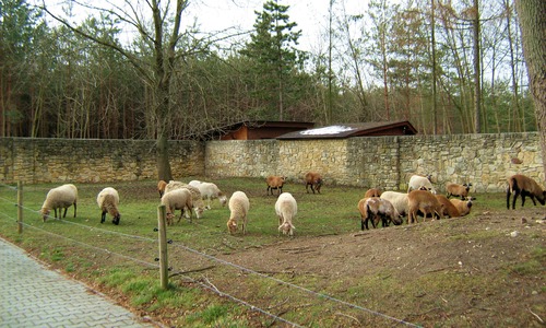 kamien slaski - park
