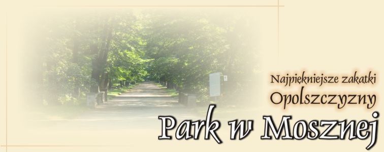park w mosznej - google street view