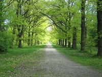 park moszna