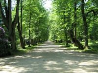 park moszna