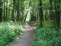 park moszna