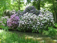 park moszna