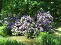 park moszna