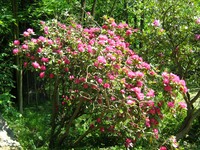 park moszna