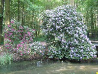 park moszna