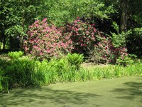 park moszna