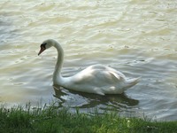 park moszna