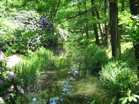 park moszna