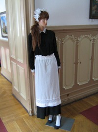 zamek moszna - wnetrza